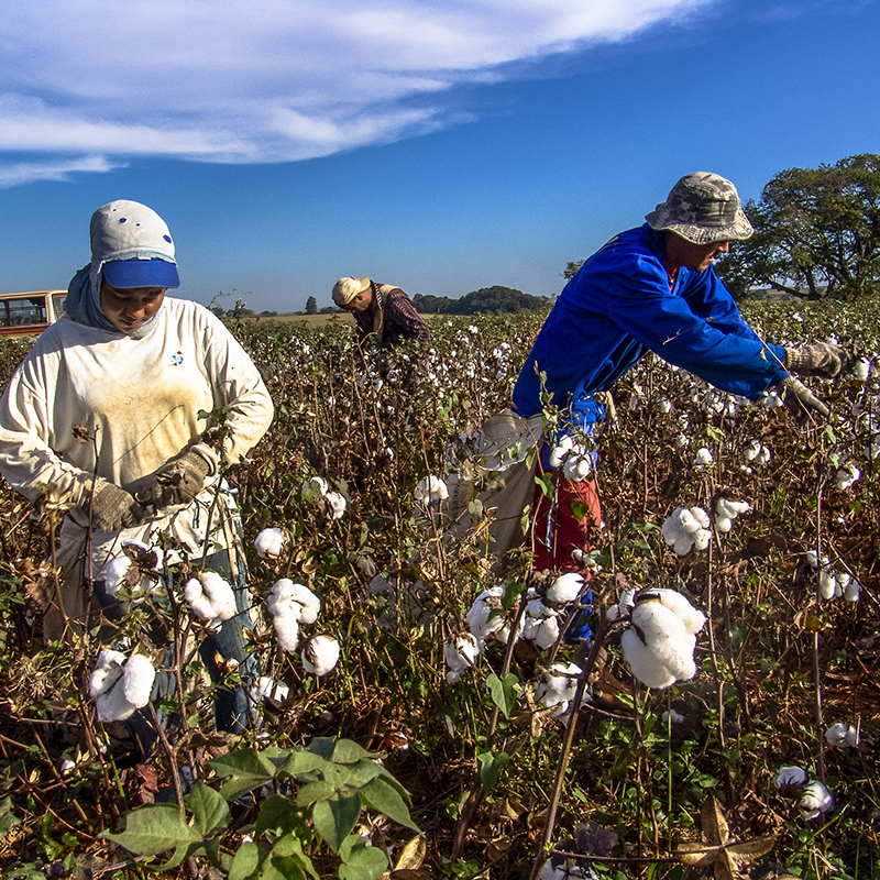 Is recycled cotton good?